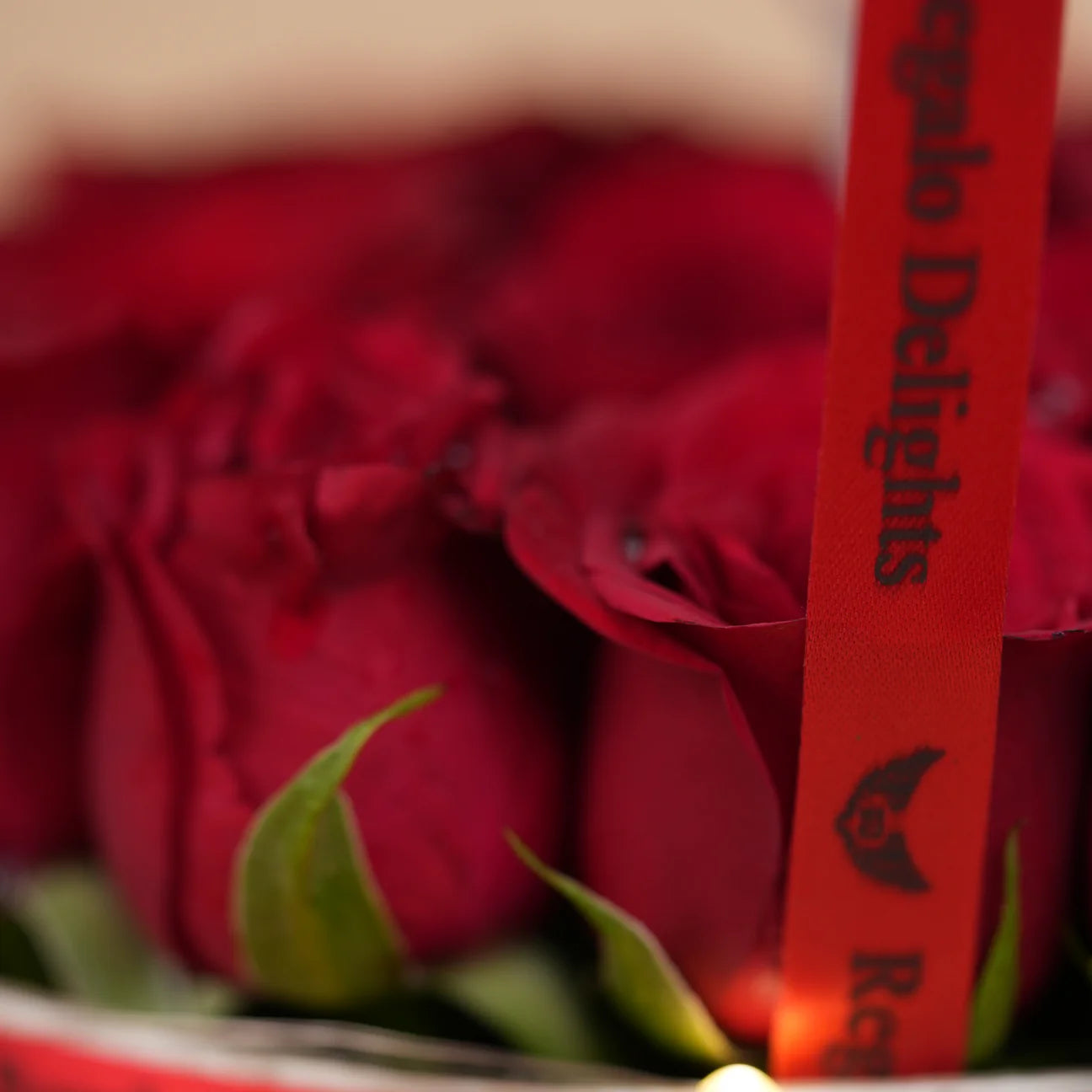 Red Roses Hot Air Bouquet- Instant